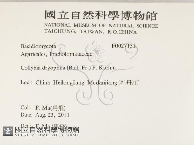 登錄號:F0027131藏品圖，第2張