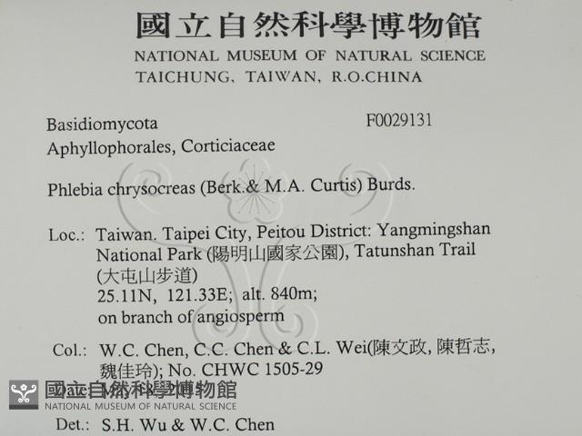 登錄號:F0029131藏品圖，第2張