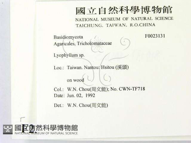 登錄號:F0023131藏品圖，第2張