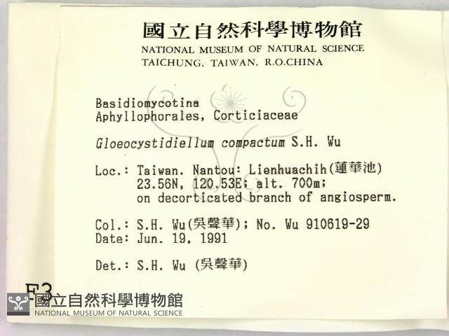 登錄號:F0003131藏品圖，第2張