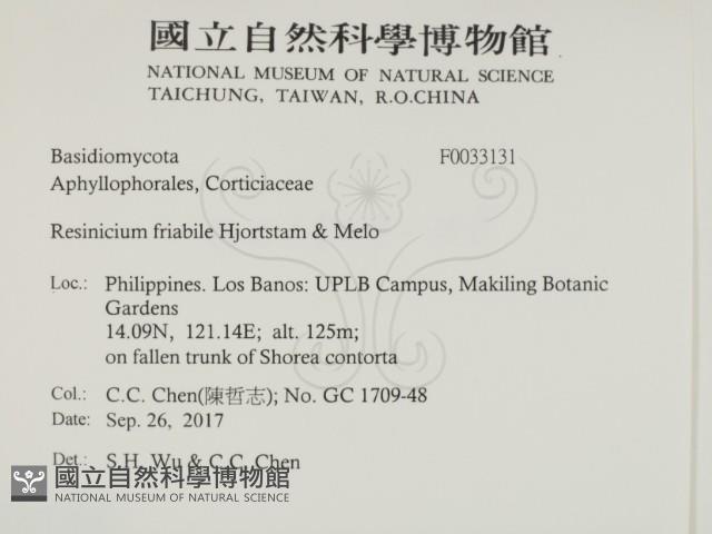 登錄號:F0033131藏品圖，第2張