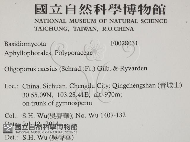 登錄號:F0028031藏品圖，第2張