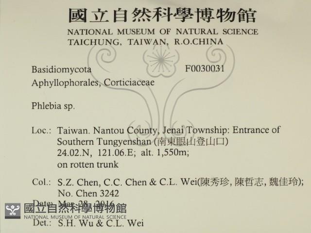 登錄號:F0030031藏品圖，第2張