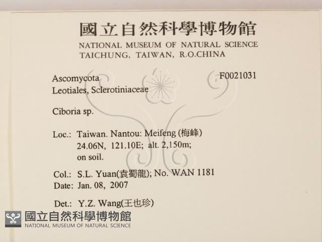 登錄號:F0021031藏品圖，第2張