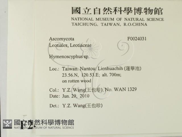 登錄號:F0024031藏品圖，第2張