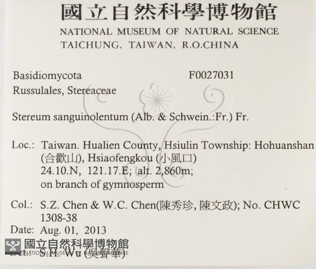 登錄號:F0027031藏品圖，第2張