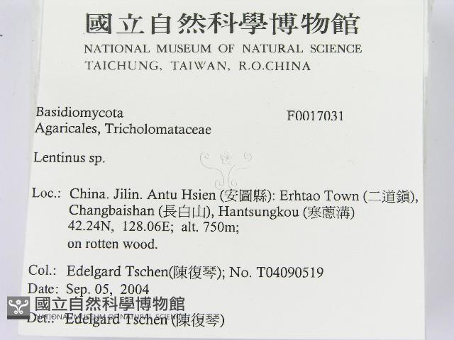 登錄號:F0017031藏品圖，第2張