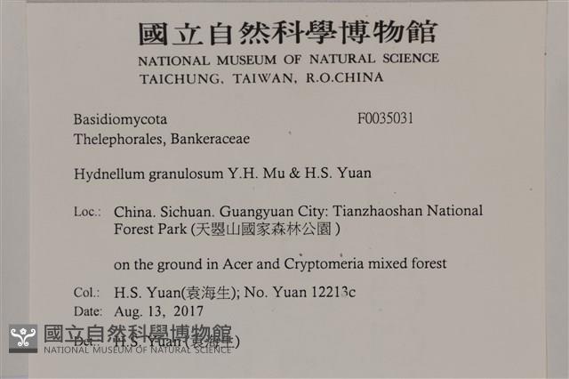 登錄號:F0035031藏品圖，第2張