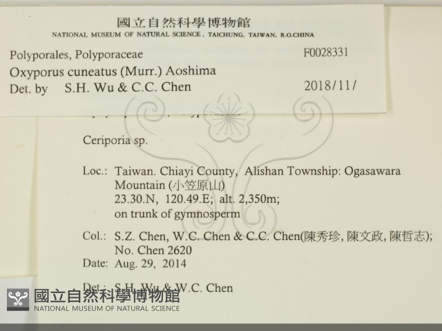 登錄號:F0028331藏品圖，第2張