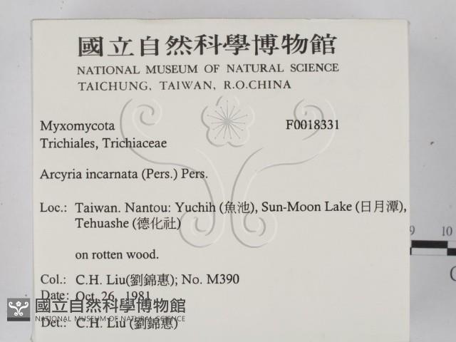 登錄號:F0018331藏品圖，第2張