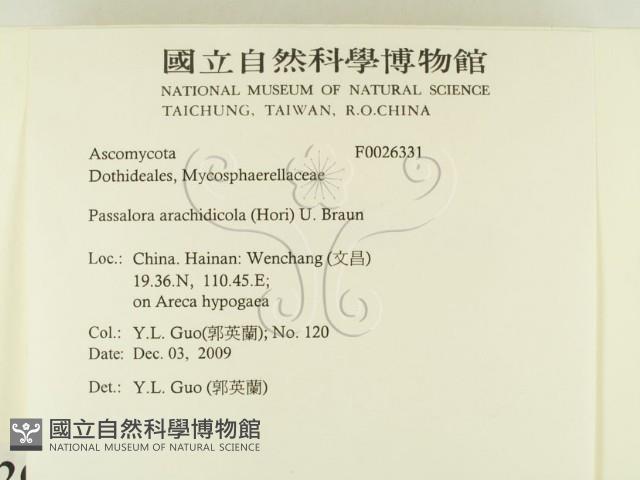 登錄號:F0026331藏品圖，第2張