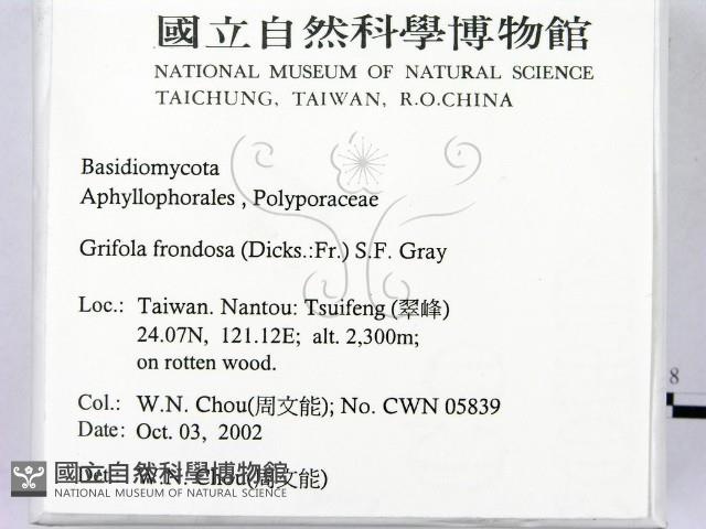 登錄號:F0016331藏品圖，第2張