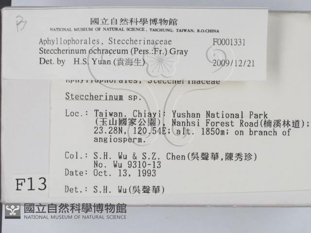 登錄號:F0001331藏品圖，第2張