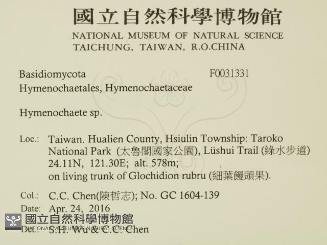 Accession Number:F0031331 Collection Image, Figure 2, Total 2 Figures