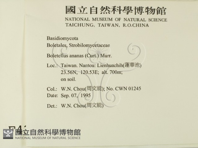 登錄號:F0004331藏品圖，第2張