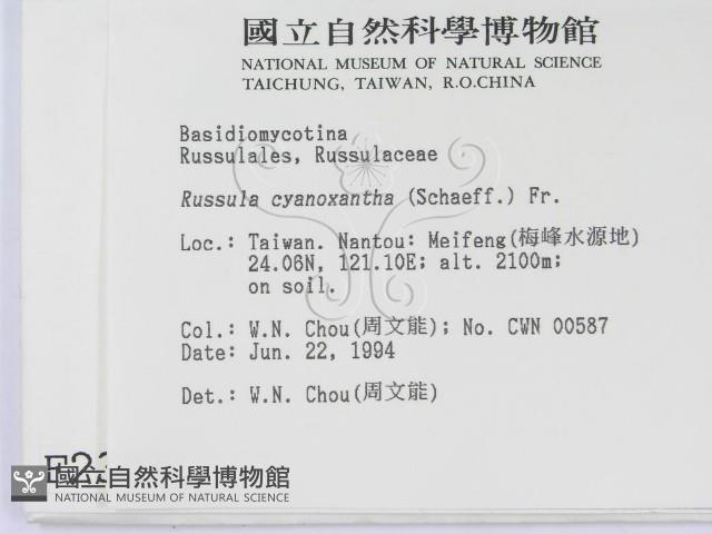 登錄號:F0002331藏品圖，第2張