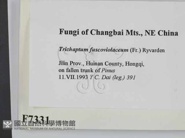 登錄號:F0007331藏品圖，第2張