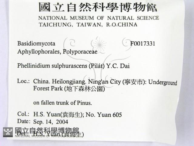 登錄號:F0017331藏品圖，第2張