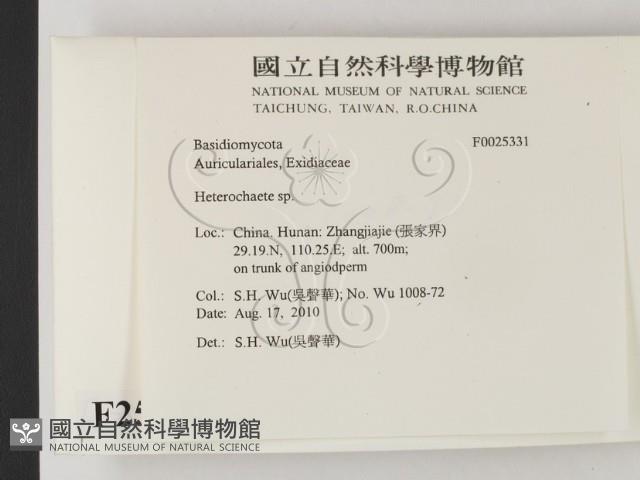 刺皮菌屬藏品圖，第2張