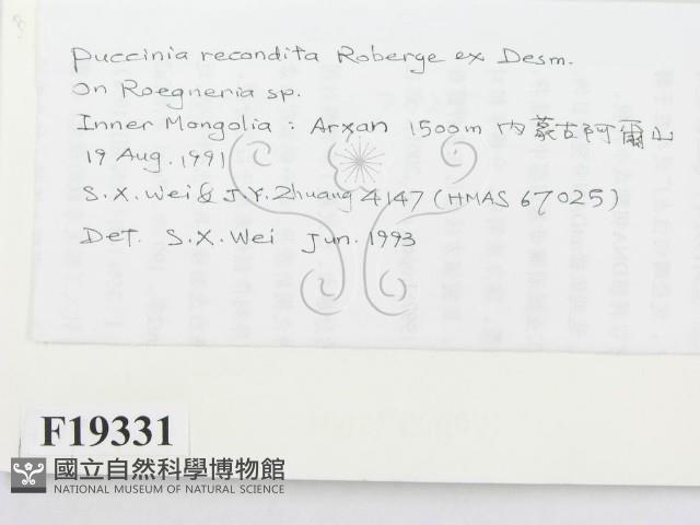 登錄號:F0019331藏品圖，第2張