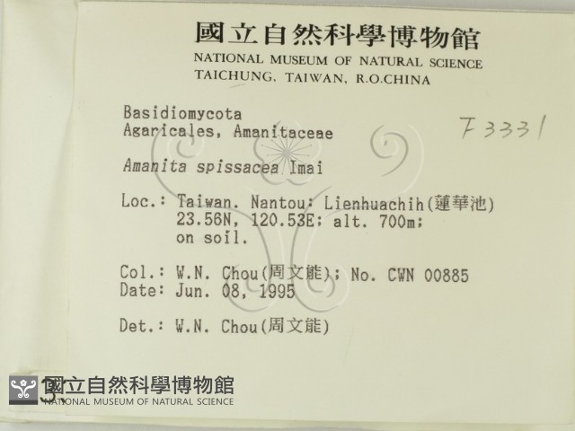 登錄號:F0003331藏品圖，第2張