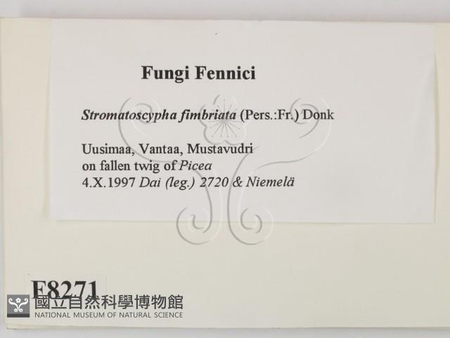 登錄號:F0008271藏品圖，第2張