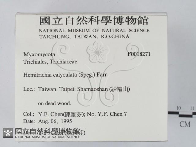 登錄號:F0018271藏品圖，第2張