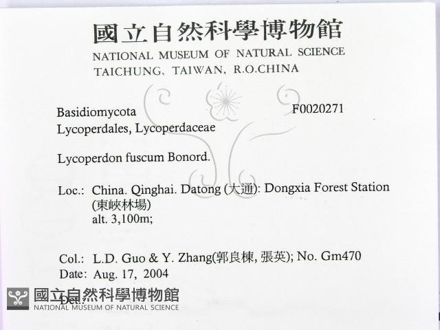 登錄號:F0020271藏品圖，第2張