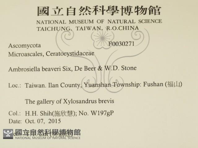 登錄號:F0030271藏品圖，第2張