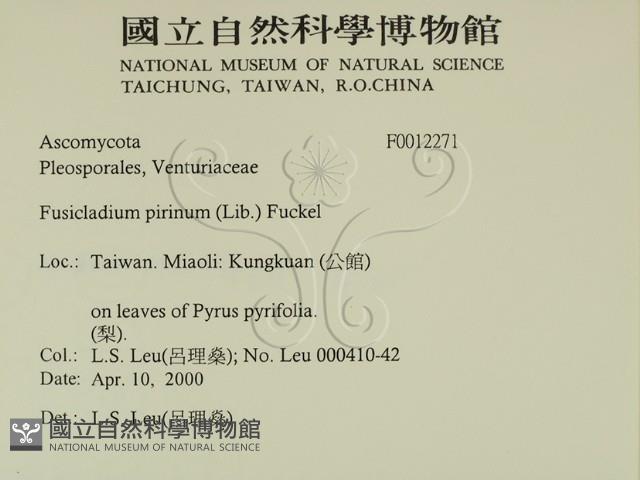 登錄號:F0012271藏品圖，第2張