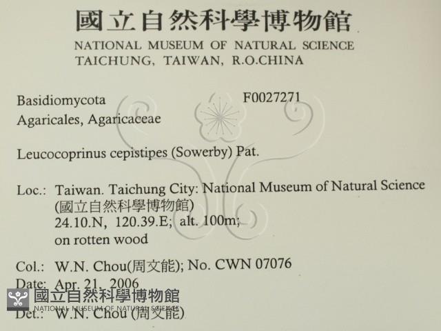 登錄號:F0027271藏品圖，第2張