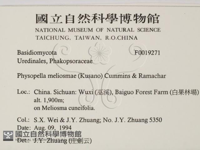 登錄號:F0019271藏品圖，第2張