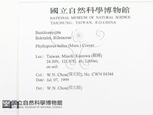 登錄號:F0013271藏品圖，第2張