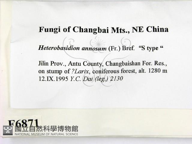 登錄號:F0006871藏品圖，第2張