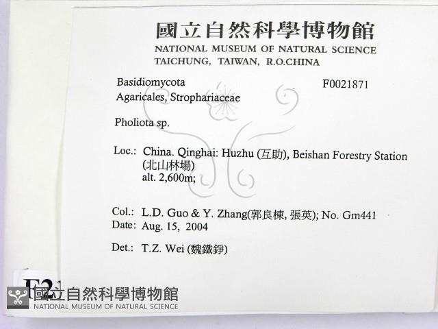 登錄號:F0021871藏品圖，第2張