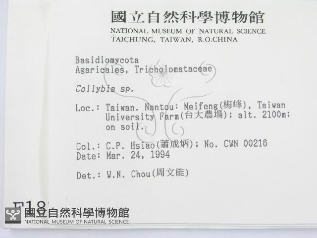 登錄號:F0001871藏品圖，第2張
