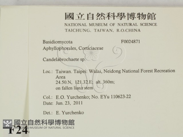 登錄號:F0024871藏品圖，第2張