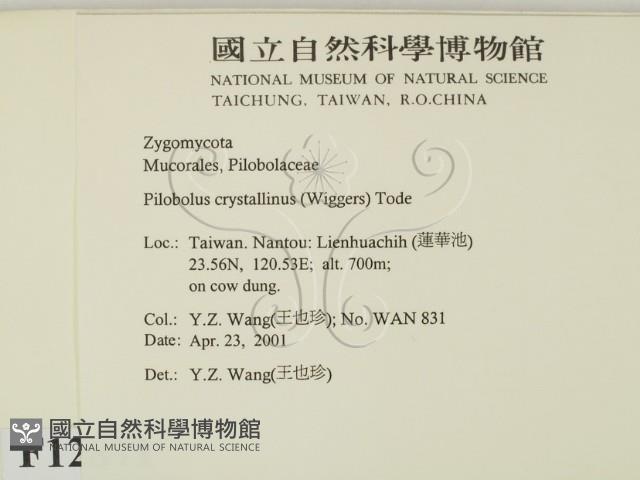 登錄號:F0012871藏品圖，第2張