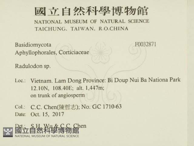 登錄號:F0032871藏品圖，第2張