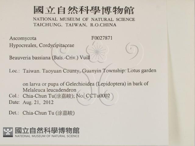 登錄號:F0027871藏品圖，第2張