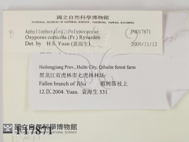 登錄號:F0017871藏品圖，第2張