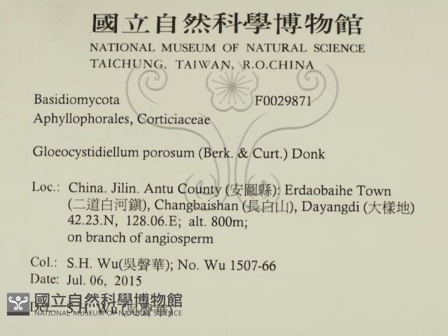 登錄號:F0029871藏品圖，第2張