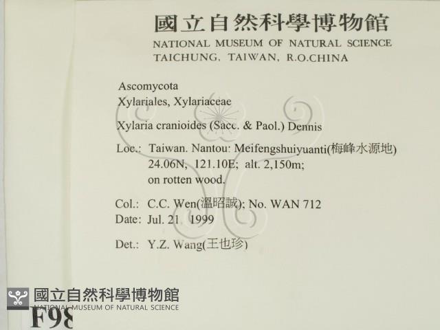 登錄號:F0009871藏品圖，第2張