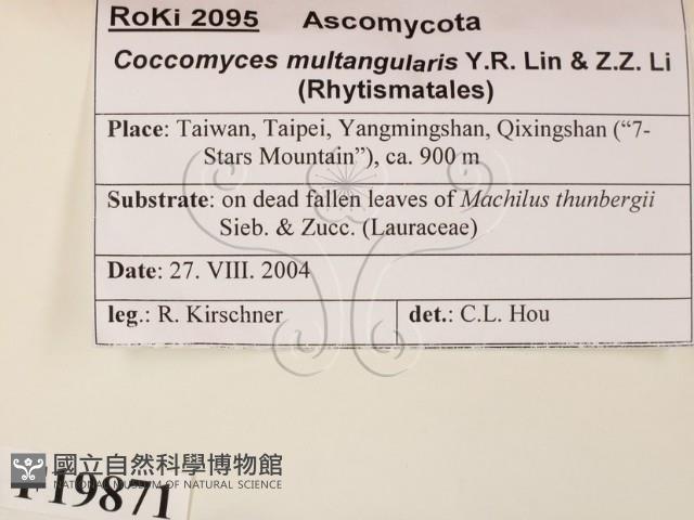 登錄號:F0019871藏品圖，第2張