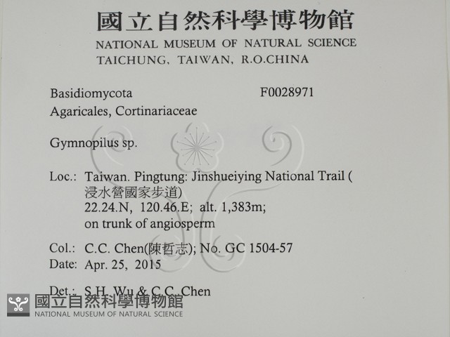 登錄號:F0028971藏品圖，第2張