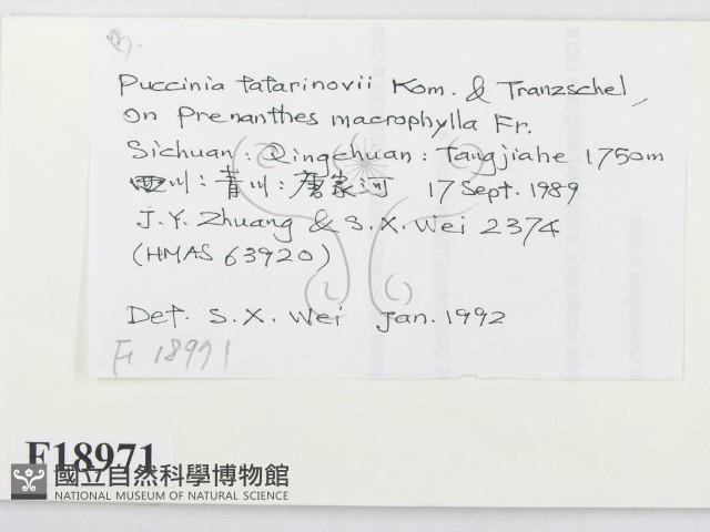 館號:F0018971藏品圖，第2張
