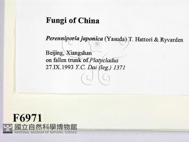 登錄號:F0006971藏品圖，第2張