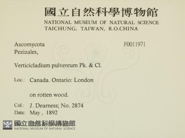 登錄號:F0011971藏品圖，第2張