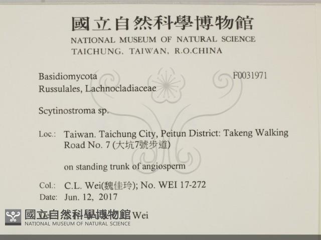 登錄號:F0031971藏品圖，第2張
