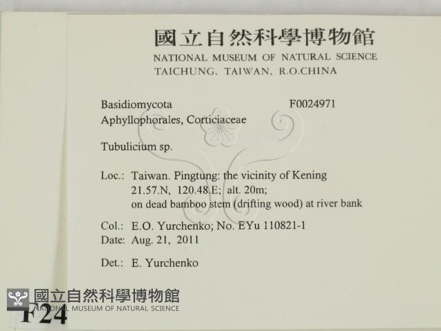 登錄號:F0024971藏品圖，第2張